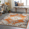 Churubusco Traditional Tangerine Area Rug