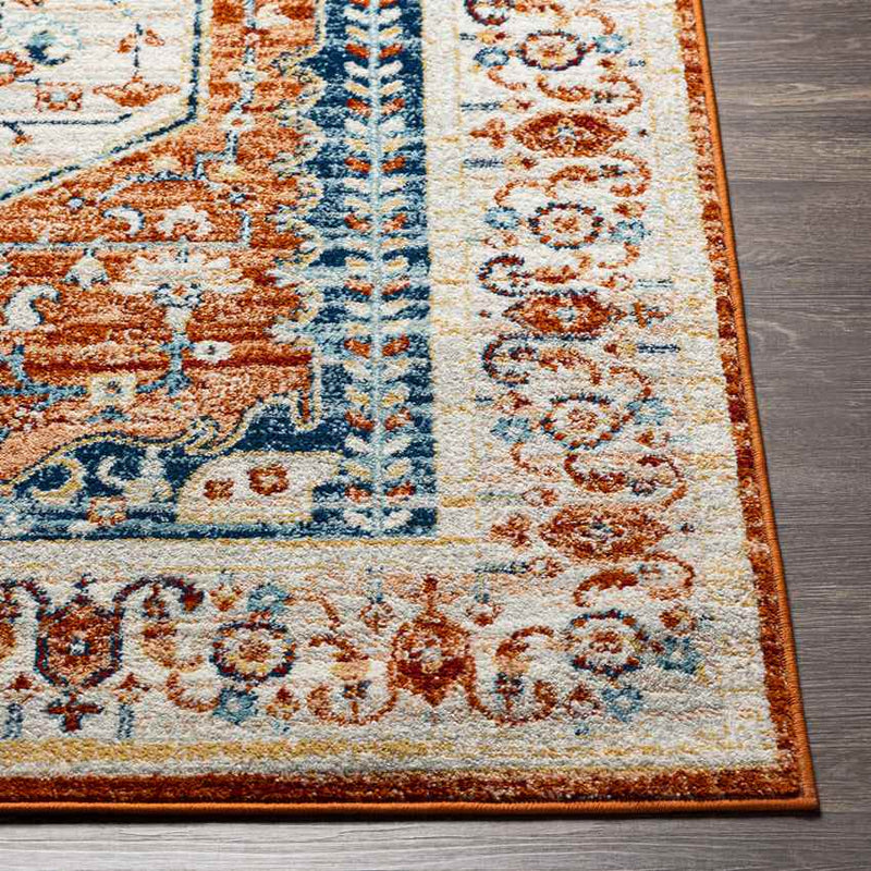 Clarks Hill Traditional Burnt Orange Area Rug
