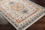 Coatesville Traditional Burnt Orange Area Rug