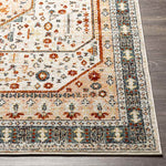 Coatesville Traditional Burnt Orange Area Rug