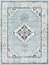 Dunreith Traditional Aqua Area Rug