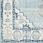 Dunreith Traditional Aqua Area Rug