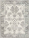 Dupont Traditional Gray Area Rug