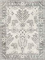 Dupont Traditional Gray Area Rug