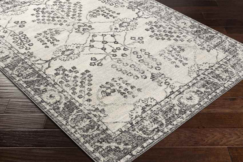 Dupont Traditional Gray Area Rug
