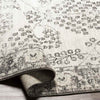Dupont Traditional Gray Area Rug
