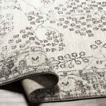 Dupont Traditional Gray Area Rug