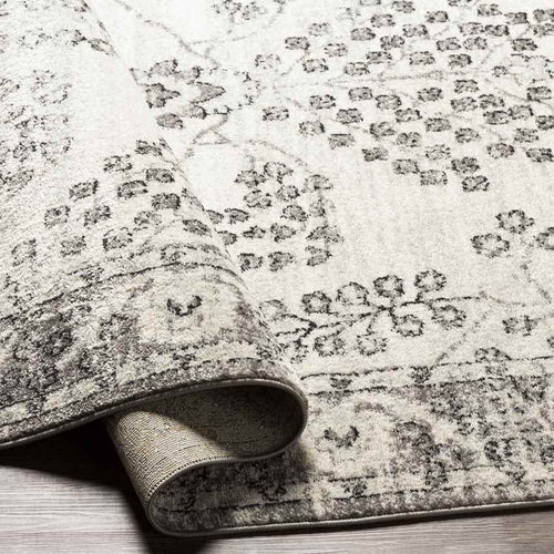 Dupont Traditional Gray Area Rug
