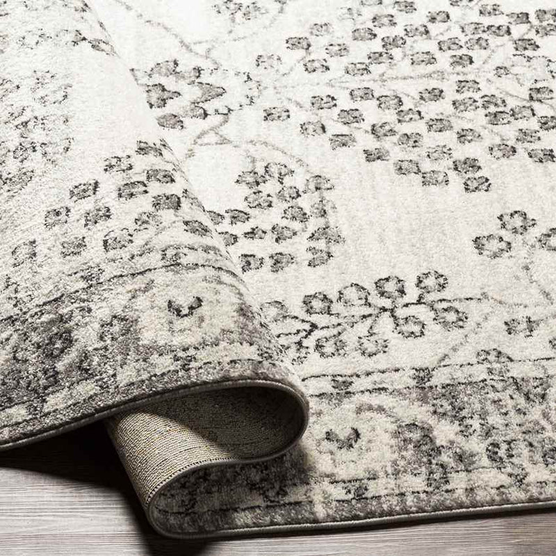 Dupont Traditional Gray Area Rug