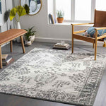Dupont Traditional Gray Area Rug