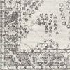 Dupont Traditional Gray Area Rug