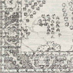 Dupont Traditional Gray Area Rug