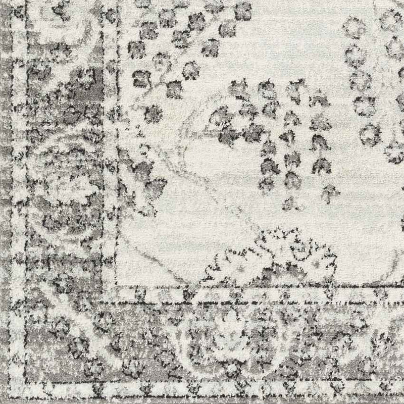 Dupont Traditional Gray Area Rug