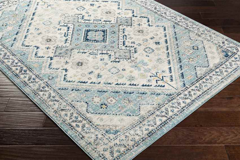 Earl Park Traditional Aqua Area Rug