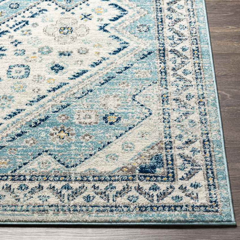 Earl Park Traditional Aqua Area Rug