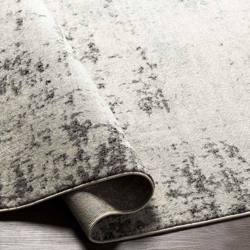 Fairland Modern Gray Area Rug