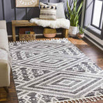 Fort Wayne Global Black Area Rug