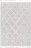 Noblesville Global Light Gray Area Rug