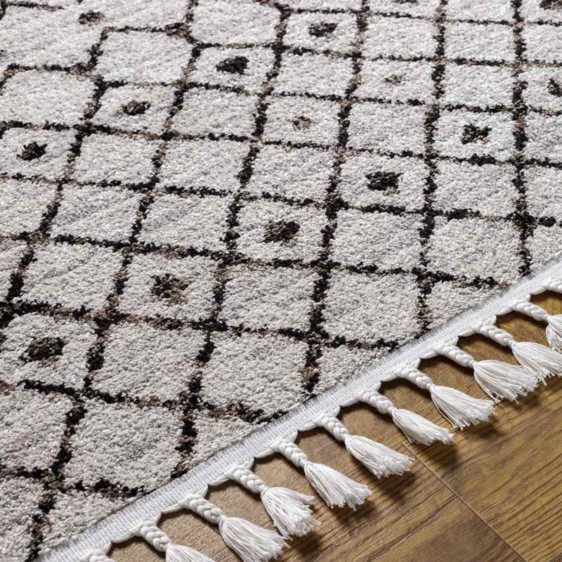 Ricketts Global Medium Gray Area Rug