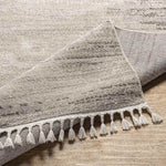 Ringsted Global Light Gray Area Rug