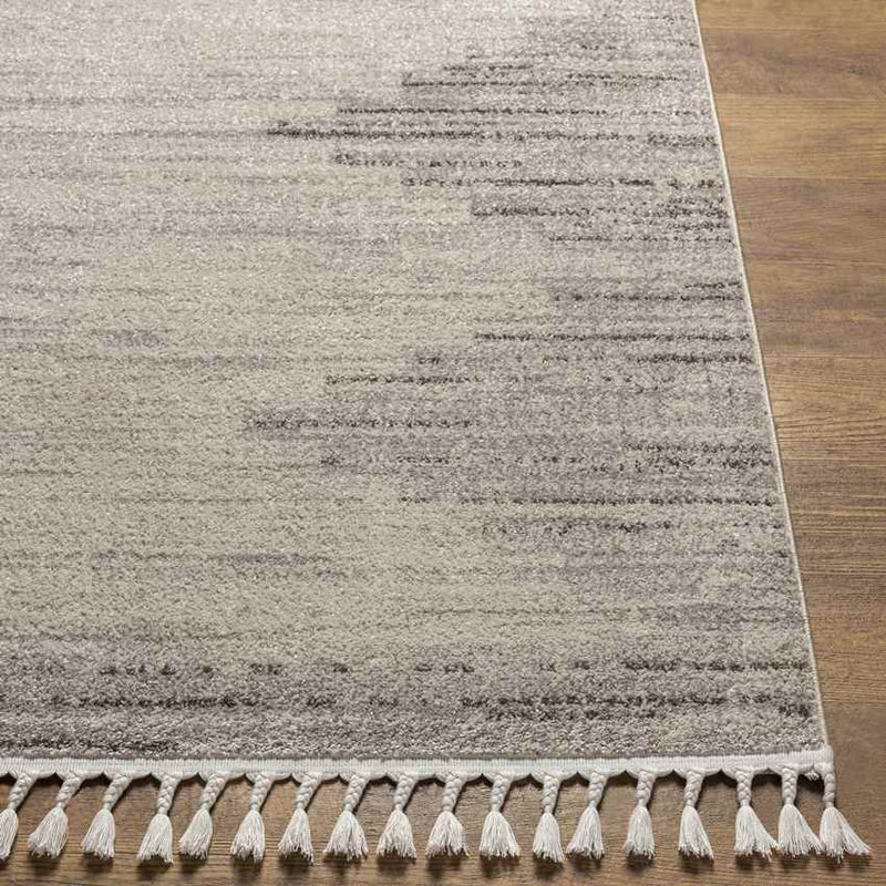Ringsted Global Light Gray Area Rug