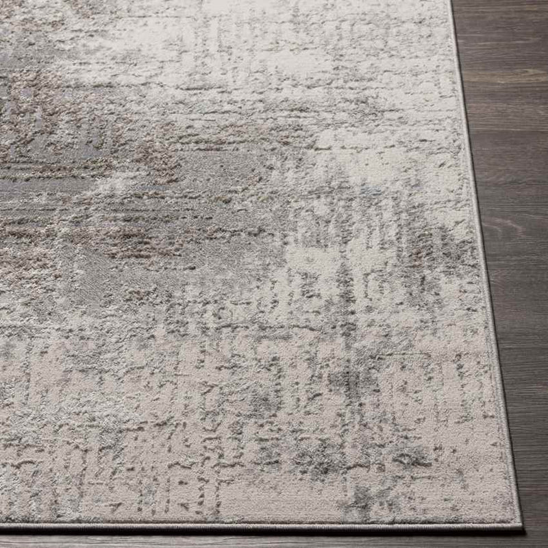 Shambaugh Modern Gray Area Rug