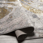 Shueyville Modern Light Gray Area Rug