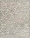 Thompson Global Beige Area Rug