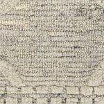 Thompson Global Beige Area Rug