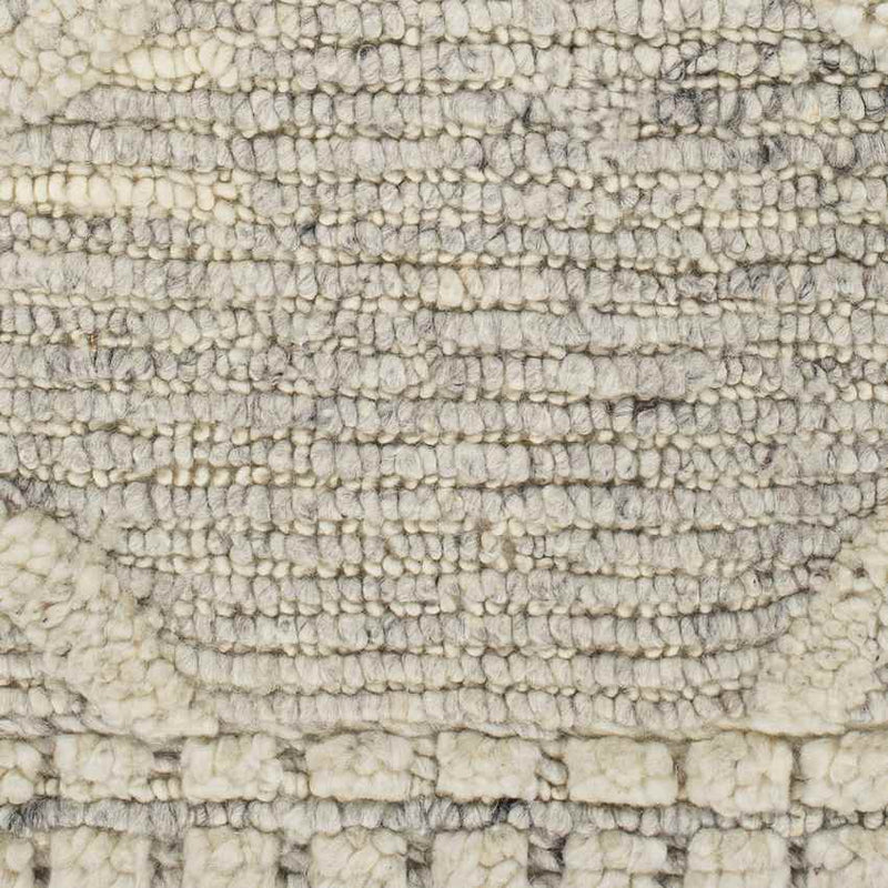 Thompson Global Beige Area Rug