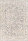Van Wert Traditional Beige Area Rug