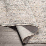 Van Wert Traditional Beige Area Rug