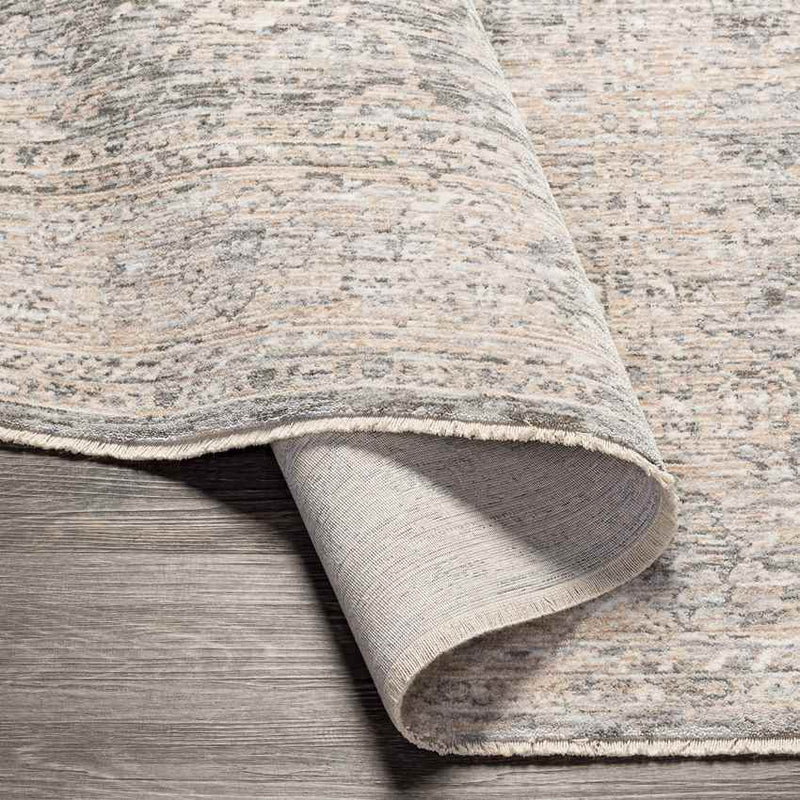 Van Wert Traditional Beige Area Rug
