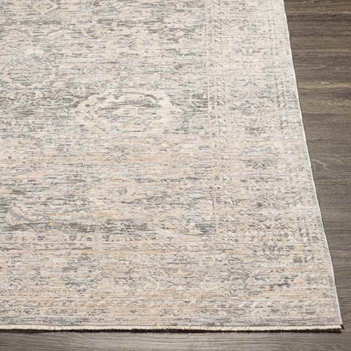 Van Wert Traditional Beige Area Rug
