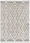 Waukee Global Charcoal Area Rug