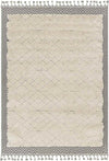 Wellsburg Global Beige Area Rug