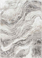Earlton Modern Charcoal Area Rug