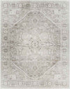 Griswold Traditional Taupe Area Rug