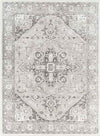 Griswold Traditional Gray Area Rug