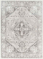 Griswold Traditional Gray Area Rug