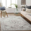 Griswold Traditional Gray Area Rug