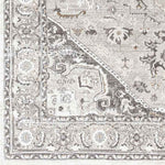 Griswold Traditional Gray Area Rug