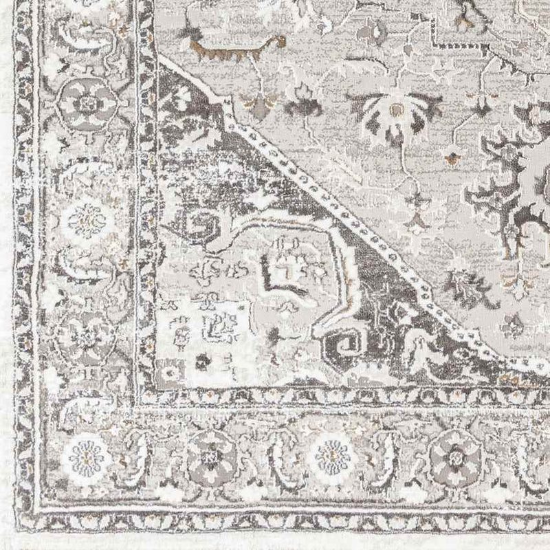 Griswold Traditional Gray Area Rug