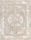 Grundy Center Traditional Beige Area Rug
