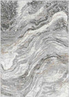 Earlton Modern Gray Area Rug