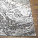 Earlton Modern Gray Area Rug