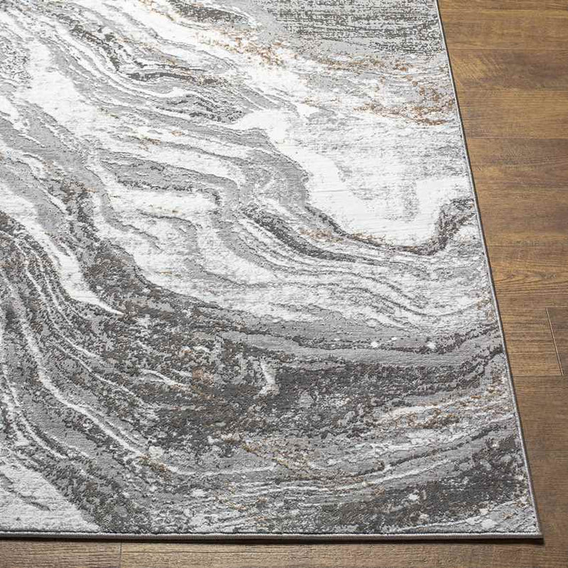 Earlton Modern Gray Area Rug