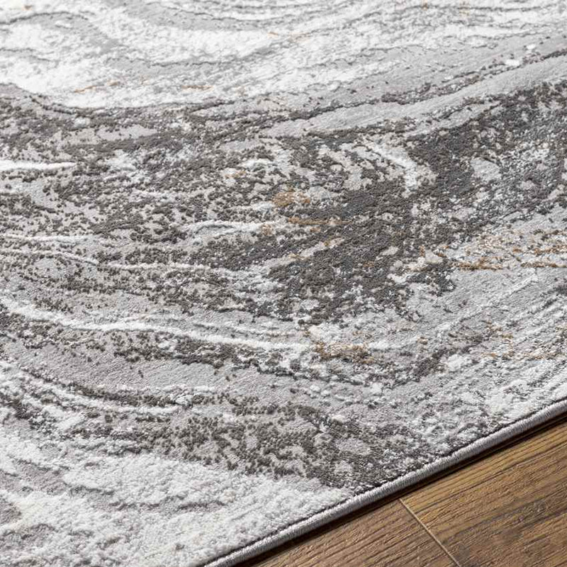 Earlton Modern Gray Area Rug