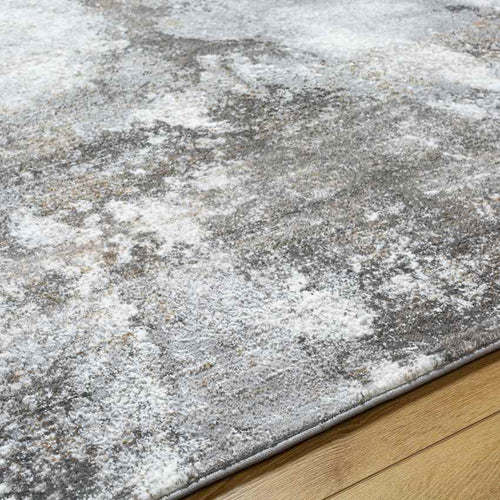 Guthrie Center Modern Light Gray Area Rug