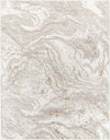 Guttenberg Modern Light Gray Area Rug